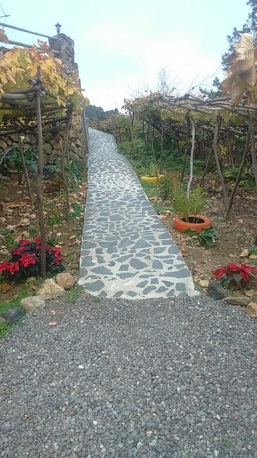 Casa Canaria La Moncloa Villa Icod De Los Vinos Bagian luar foto