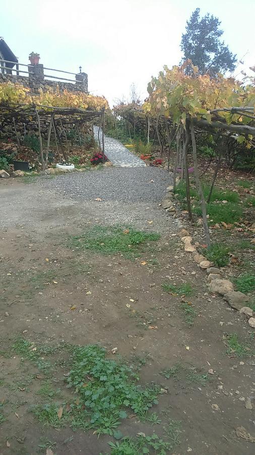 Casa Canaria La Moncloa Villa Icod De Los Vinos Bagian luar foto